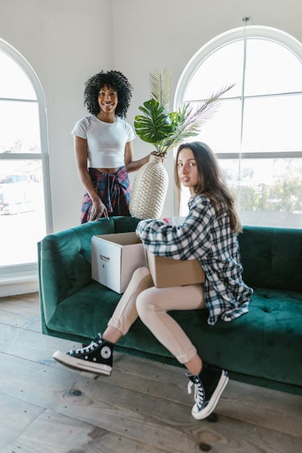 A young woman with long brown hair, wearing a plaid shirt, light-colored trousers, and black Converse sneakers, sits on a dark green velvet sofa inside a bright living room holding a cardboard box on her lap. Another woman with curly black hair, dressed in a white t-shirt and patterned trousers, stands nearby, holding a large decorative vase with green foliage, smiling at the camera. The room features large arched windows allowing natural light to illuminate the space, revealing wooden flooring and a minimalist interior. The scene depicts a home relocation or packing and moving process, with the women handling belongings—boxes and household items—preparing for a furniture transport or house move. The image reflects the logistics and organization involved in house removals services, as provided by Man with Van Brimsdown.