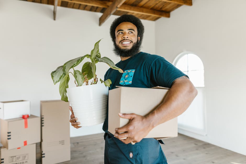 A man with a curly hairstyle and beard is smiling while carrying a large white ceramic pot with green houseplant leaves in one hand and a medium-sized cardboard box in the other, inside an uncluttered room with a wooden ceiling and a large arched window. In the background, there are several cardboard boxes stacked on the floor, some sealed with red packing tape, indicating packing and moving activities as part of a home relocation. The scene suggests the process of furniture transport and packing during a house move, with Man with Van Brimsdown providing local removals services. The lighting is natural, coming from the window, highlighting the organized space prepared for a house move.